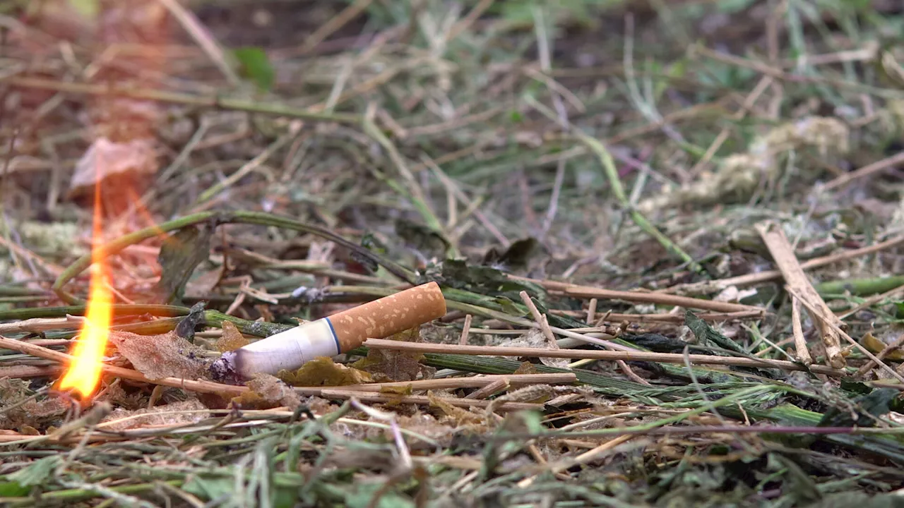 Theras: Zigarette dürfte Waldbrand ausgelöst haben