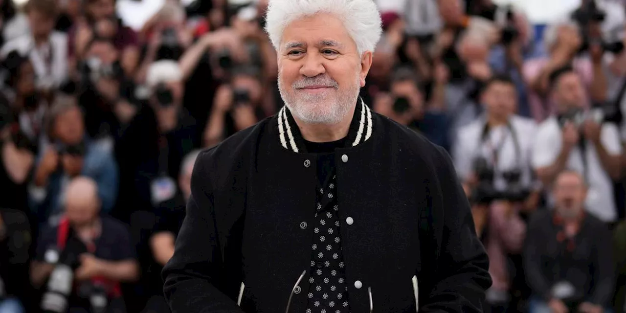 Almod&oacute;var erh&auml;lt Ehrenpreis des San-Sebasti&aacute;n-Filmfestivals