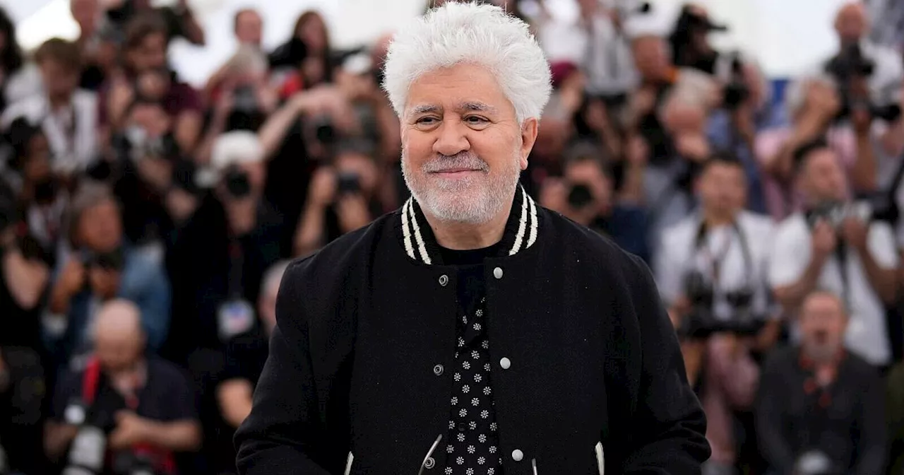 Almodóvar erhält Ehrenpreis des San-Sebastián-Filmfestivals