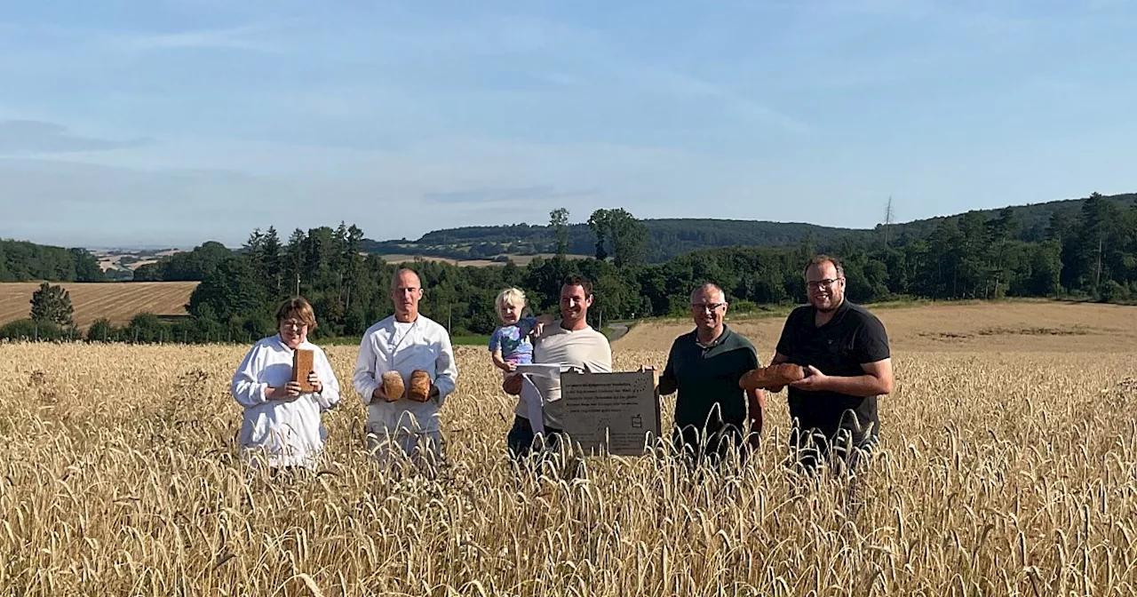 Vom Feld bis auf den Tisch: Höxteraner Bio-Bäckerei setzt auf Regionales und Teilhabe