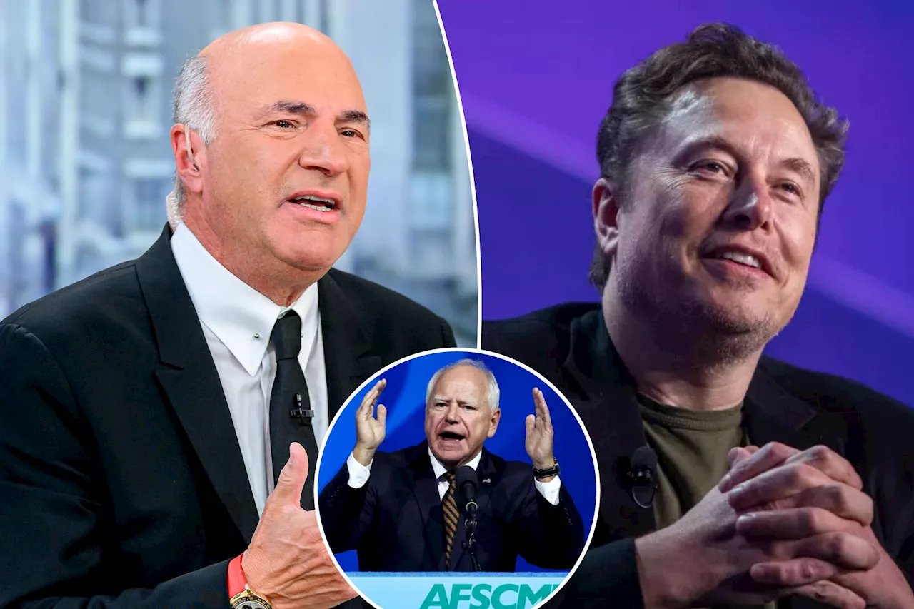 'Shark Tank' star backs role for Elon Musk in Trump White House, slams Tim Walz