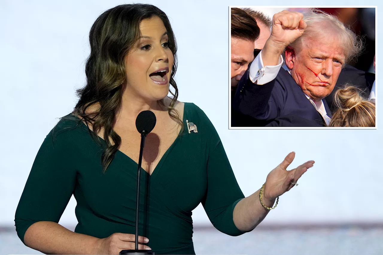 Stefanik demands resignation of NY pol who likened shooting Trump to 'putting down a rabid dog'