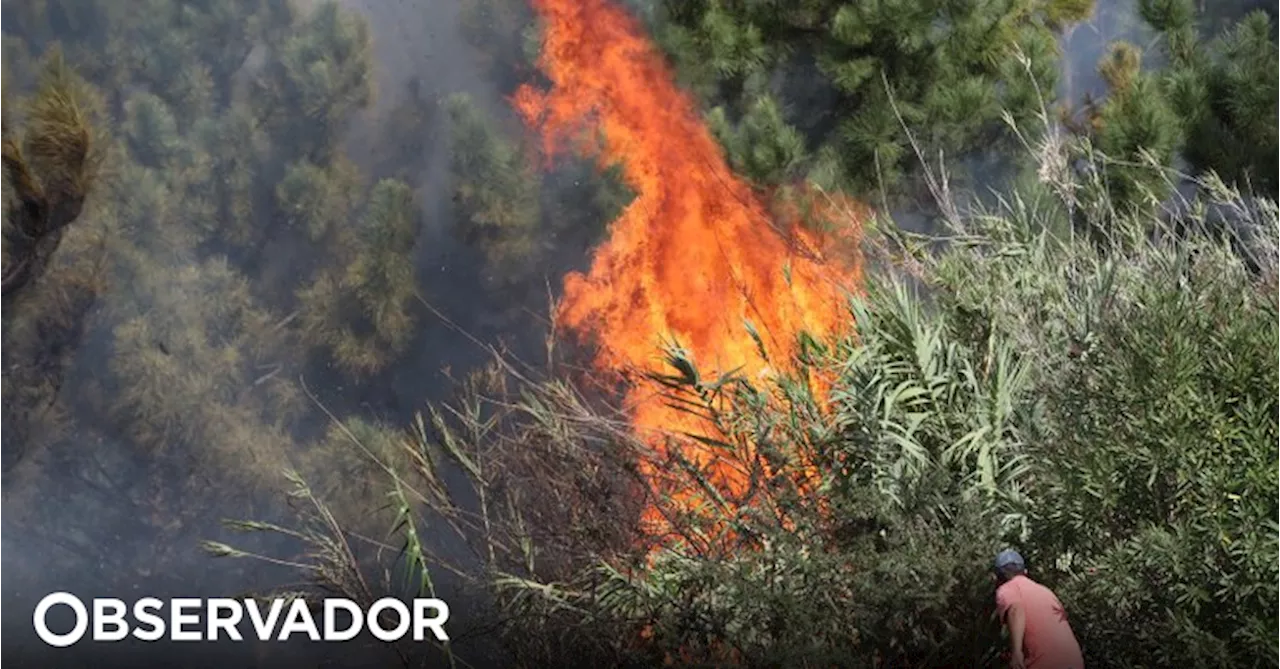 Fogo rural em zona de difícil acesso na Madeira mobiliza meio aéreo