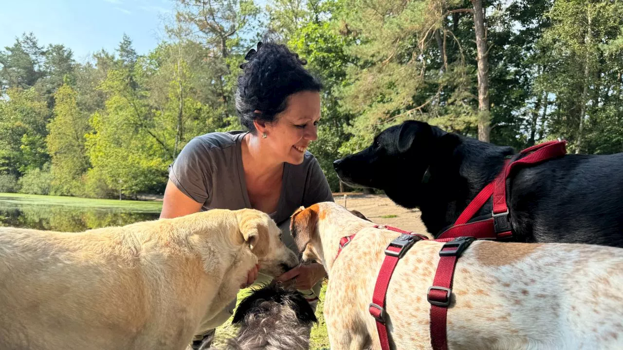 Angelique redt honden van de dood: ‘Vanuit hoopje ellende bloeien ze op'