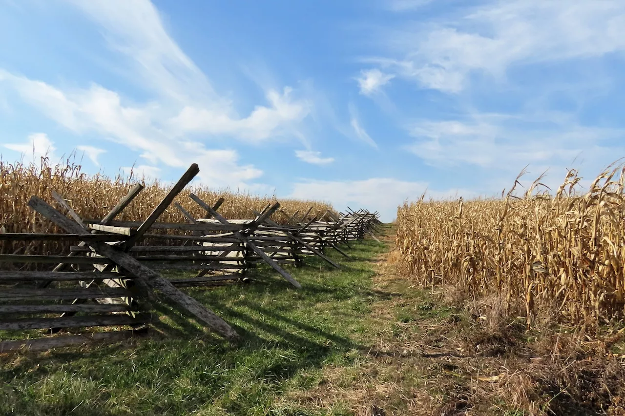 Gettysburg National Military Park seeks public help for missing artifacts