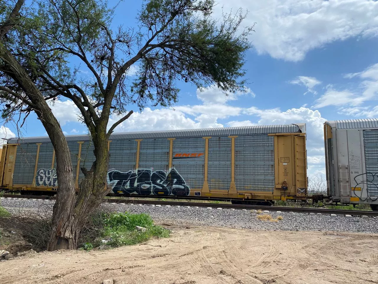 Así sufren los migrantes en su paso por Silao: “los han amenazado”, advierten