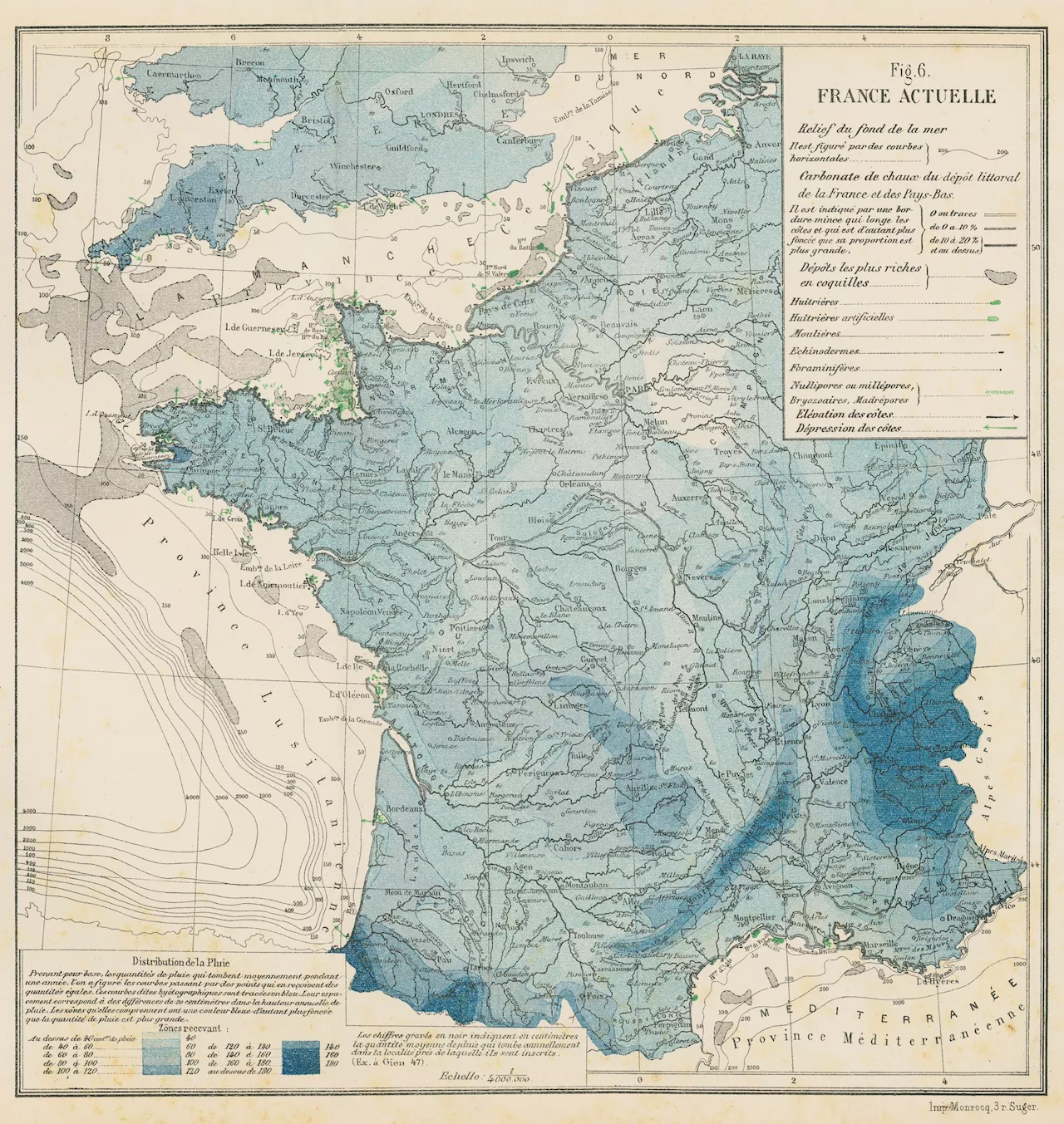 Historic map reveals how mussel farm is bringing shellfish reefs back to the seabed