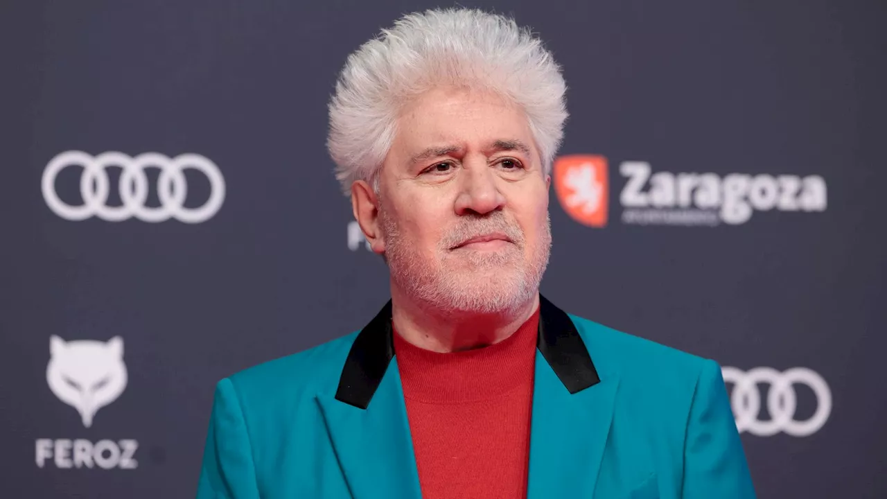 Pedro Almodóvar recibirá un Premio Donostia en San Sebastián por su 'extraordinaria aportación al cine'