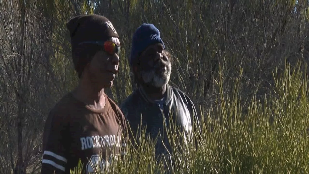 Remote Indigenous community in South Australia growing money from trees