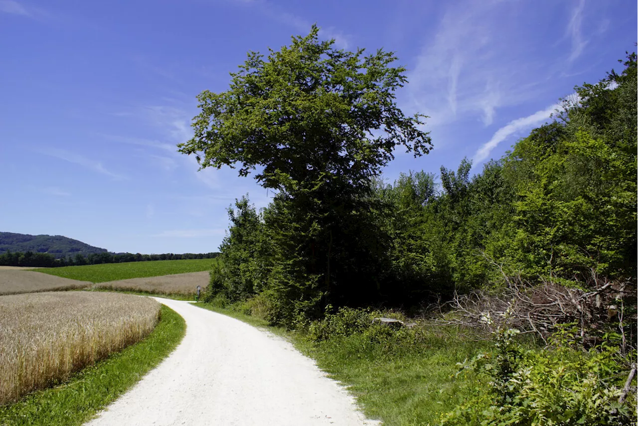 Knappe Mehrheit für Biodiversitätsinitiative