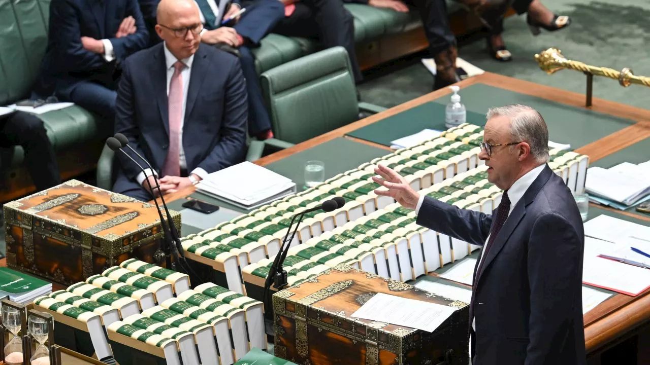 ‘Chose once again to seek division’: Albo and Dutton square off over Palestine visa issue