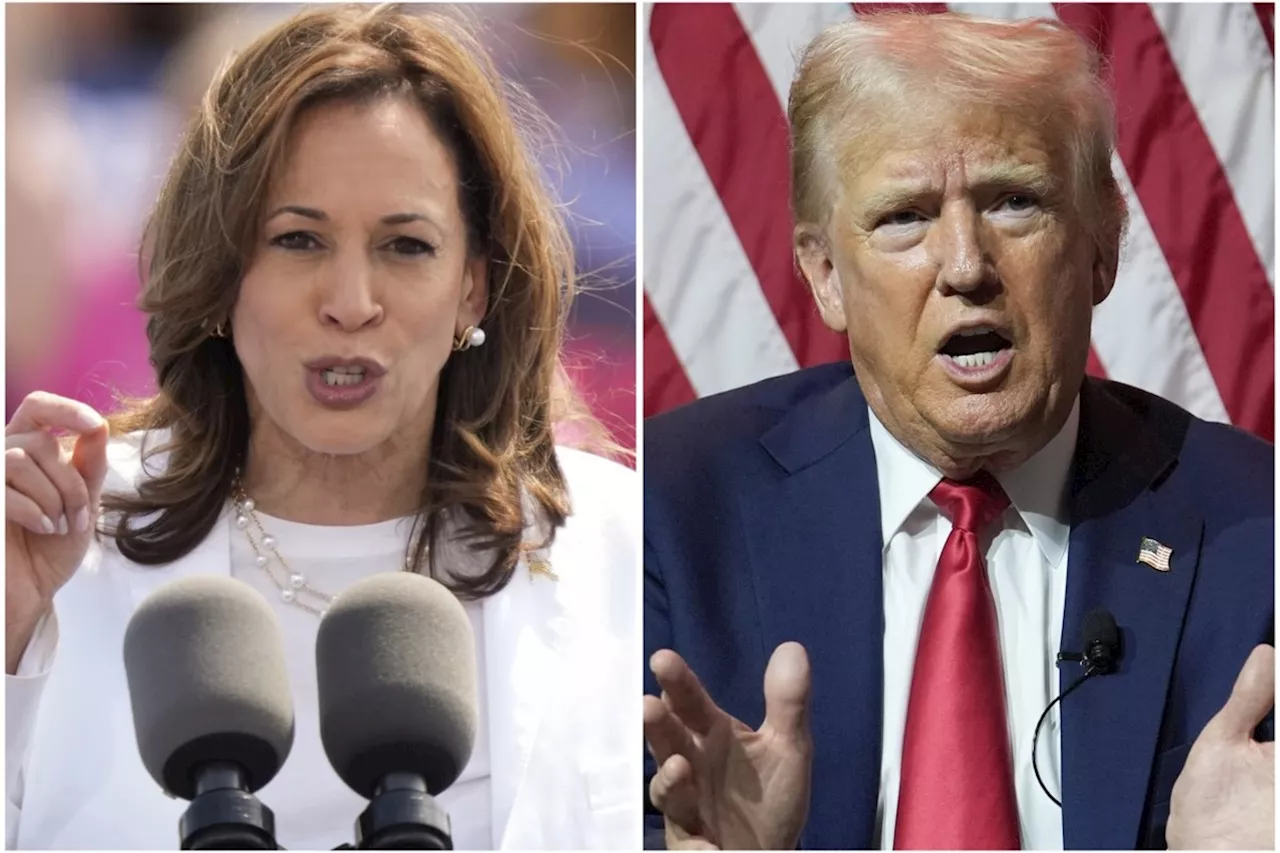 Americans give Harris an advantage over Trump on honesty and discipline, an AP-NORC poll finds