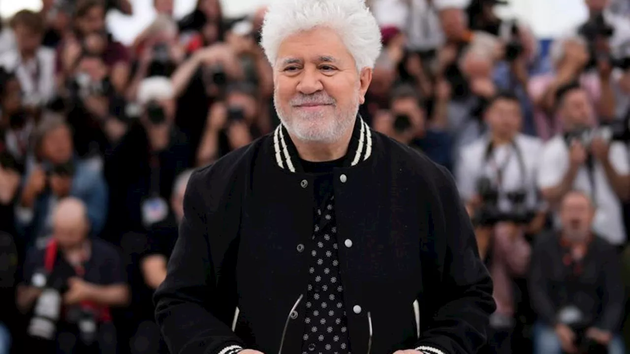 Starregisseur: Almodóvar erhält Ehrenpreis des San-Sebastián-Filmfestivals