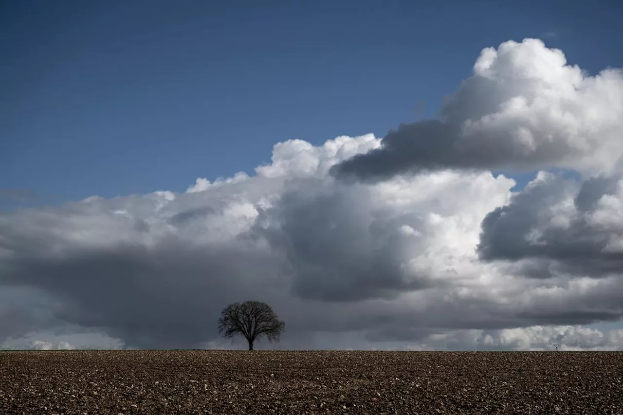 Charente-Maritime : une étude en cours pour fertiliser les champs à l’urine