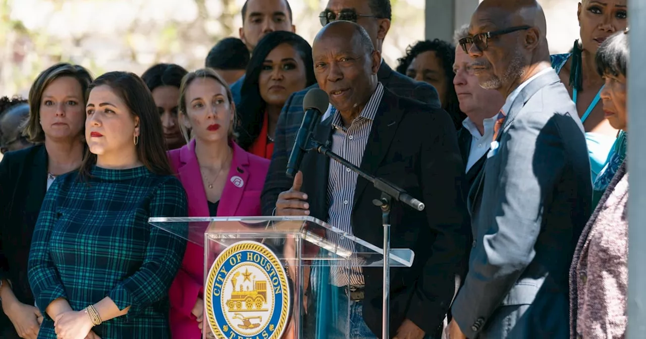 Sylvester Turner is the Democrats’ pick for Jackson Lee seat in Congress