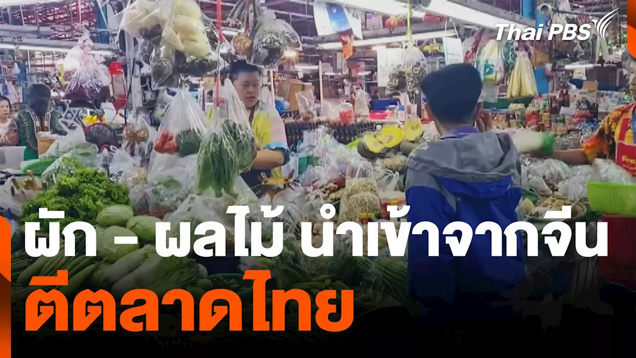 ผัก - ผลไม้ นำเข้าจากจีน ตีตลาดไทย | Thai PBS รายการไทยพีบีเอส