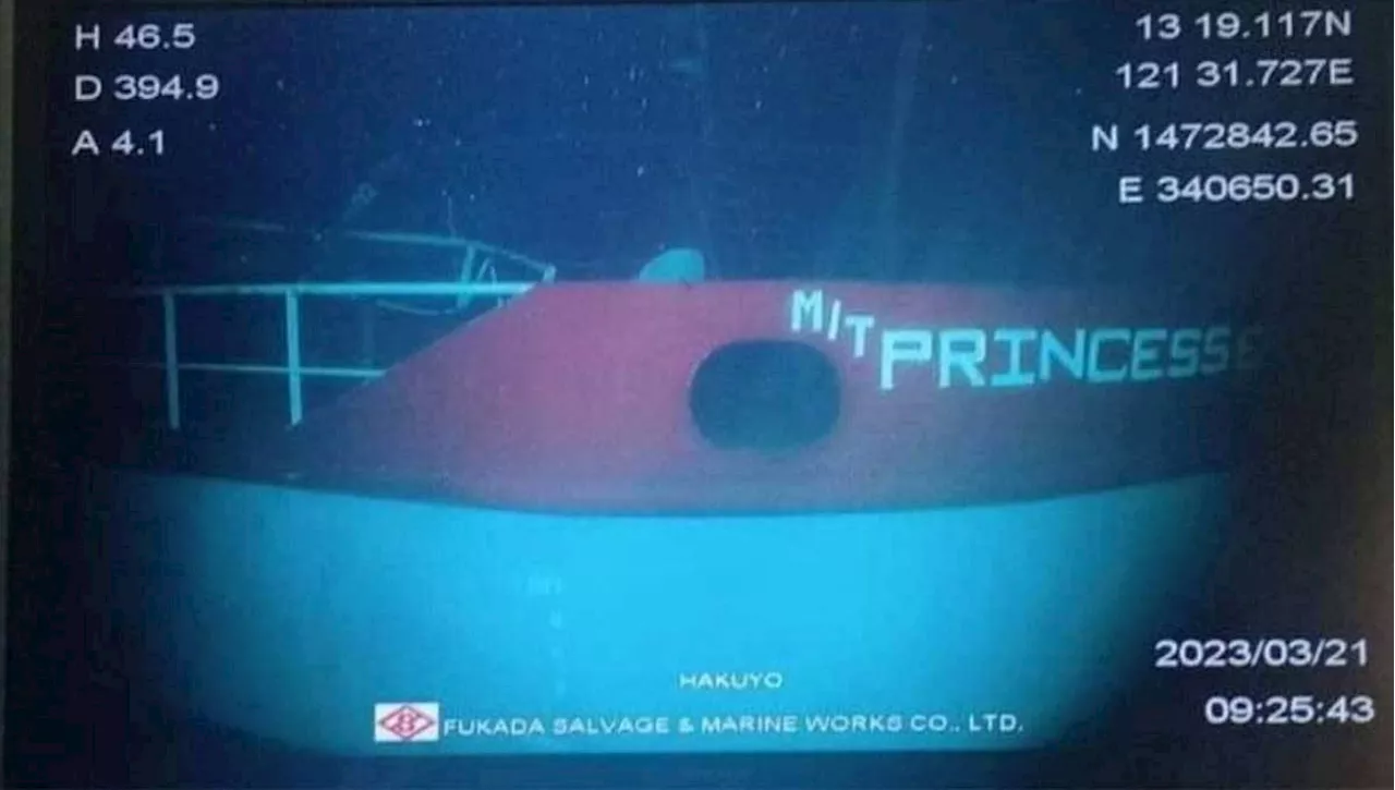 Marina exec dismissed over sinking of Princess Empress