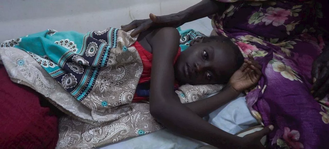 Sexual violence and famine stalk Sudan's displaced