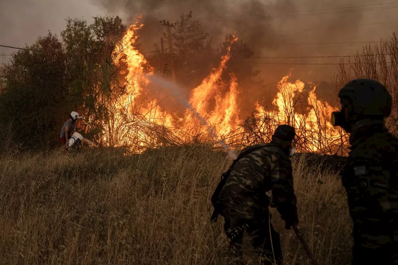 Wildfires caused major CO2 emissions last year