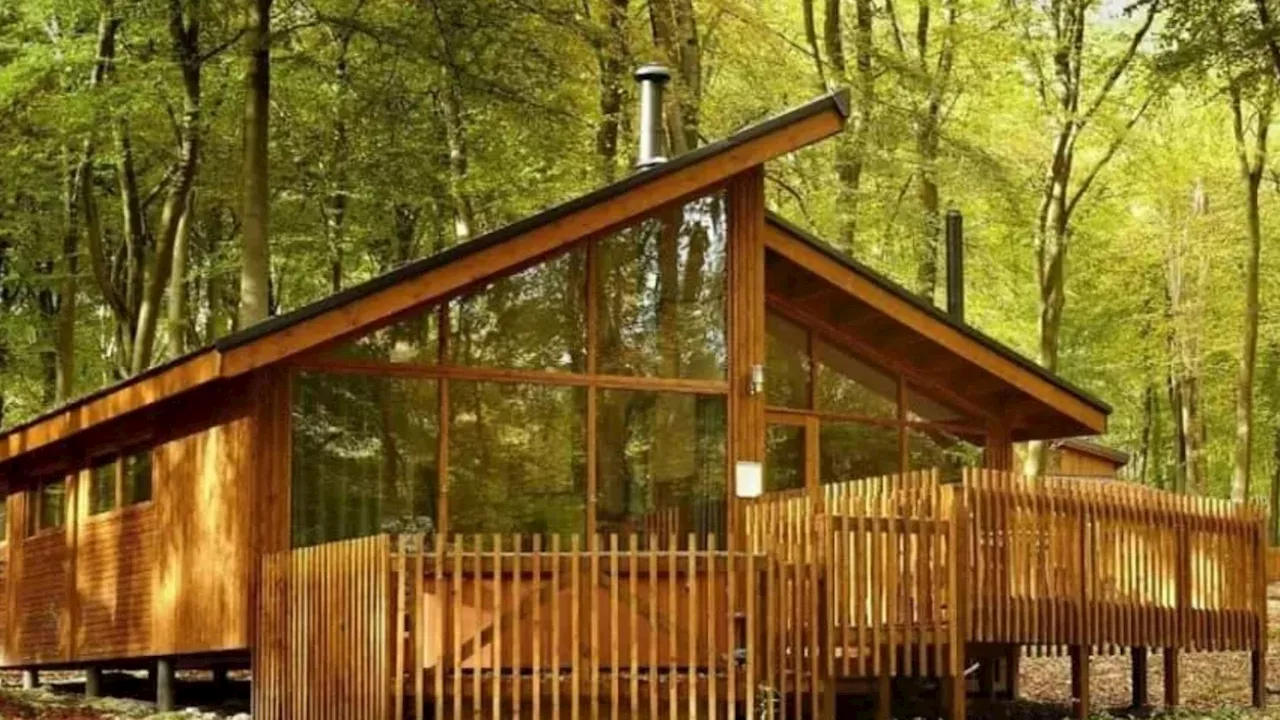 New £23million woodland holiday park with lodges, treehouses and play zones set to open in England...