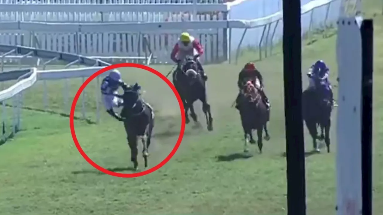 Punters demand lifetime ban for jockey as investigation launched after he abruptly falls from leading horse...