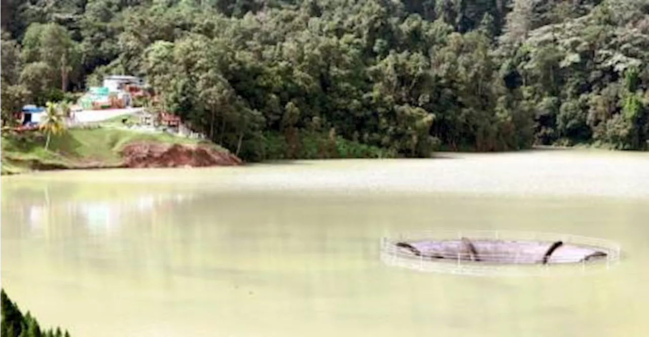 Penang dams’ water storage drops below 30%