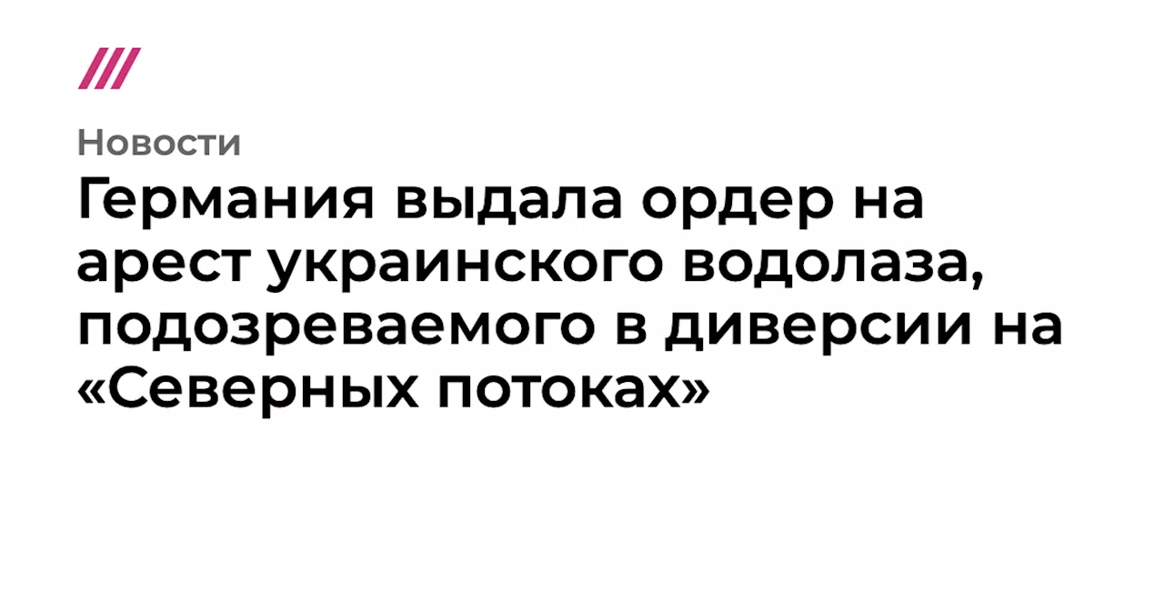 Германия выдала ордер на арест украинского водолаза, подозреваемого в диверсии на «Северных потоках»