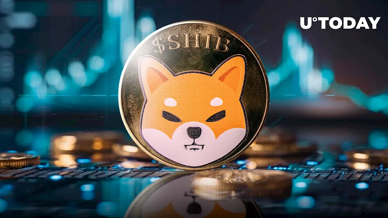 596% Shiba Inu (SHIB) Surge Exposes Whales' Plans for Bull Run