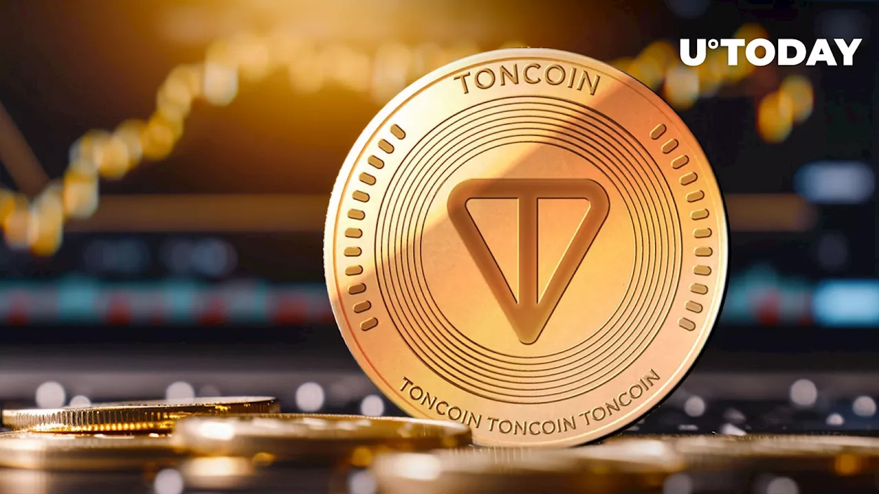 Toncoin (TON) Skyrockets 15% as Whales Make Big Moves