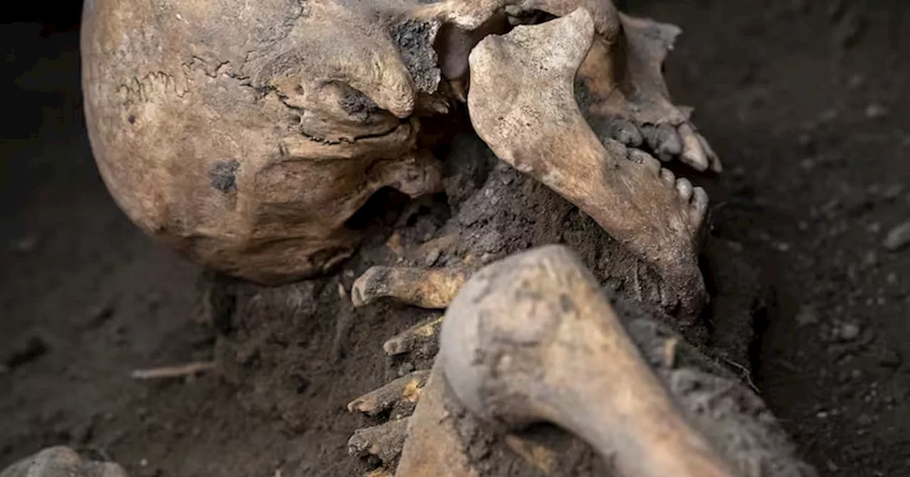 El fascinante hallazgo de una pareja víctima del Vesubio en Pompeya revela un tesoro oculto