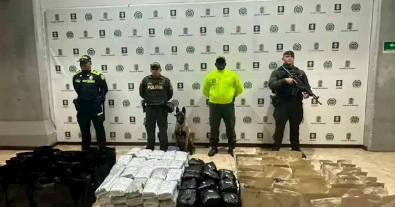 Policía descubre en Medellín una de las caletas de droga más grandes de los últimos años