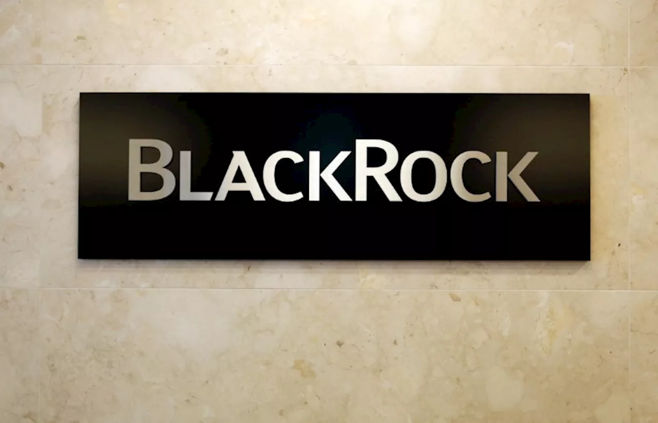 BlackRock, Vanguard big purchasers of Trump Media shares in Q2, filings show