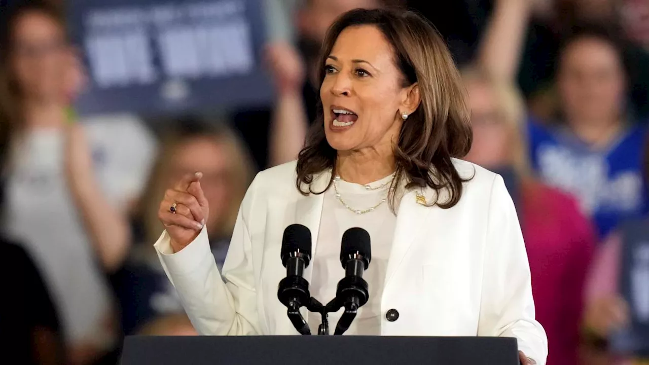 How Harris's past as California AG may shape Big Tech relations