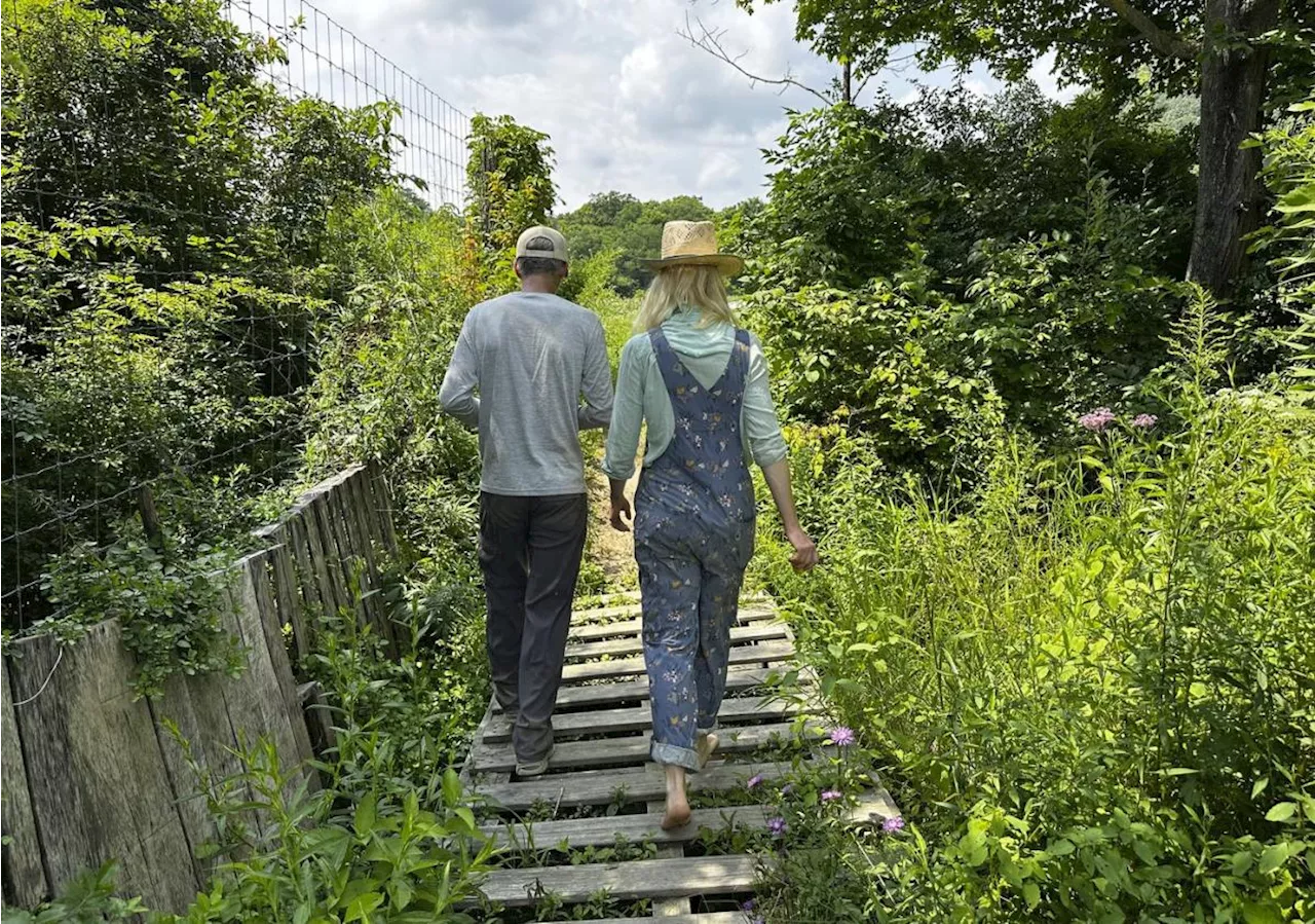 Seeds are gifts from nature, says a major organic producer. Now it's going to give them away