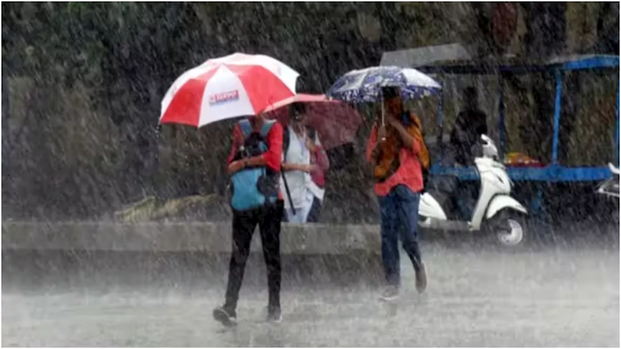 Kerala Rain Alert: സംസ്ഥാനത്തെ മഴ മുന്നറിയിപ്പില്‍ മാറ്റം; 3 ജില്ലകളില്‍ ഓറഞ്ച് അലര്‍ട്ട്