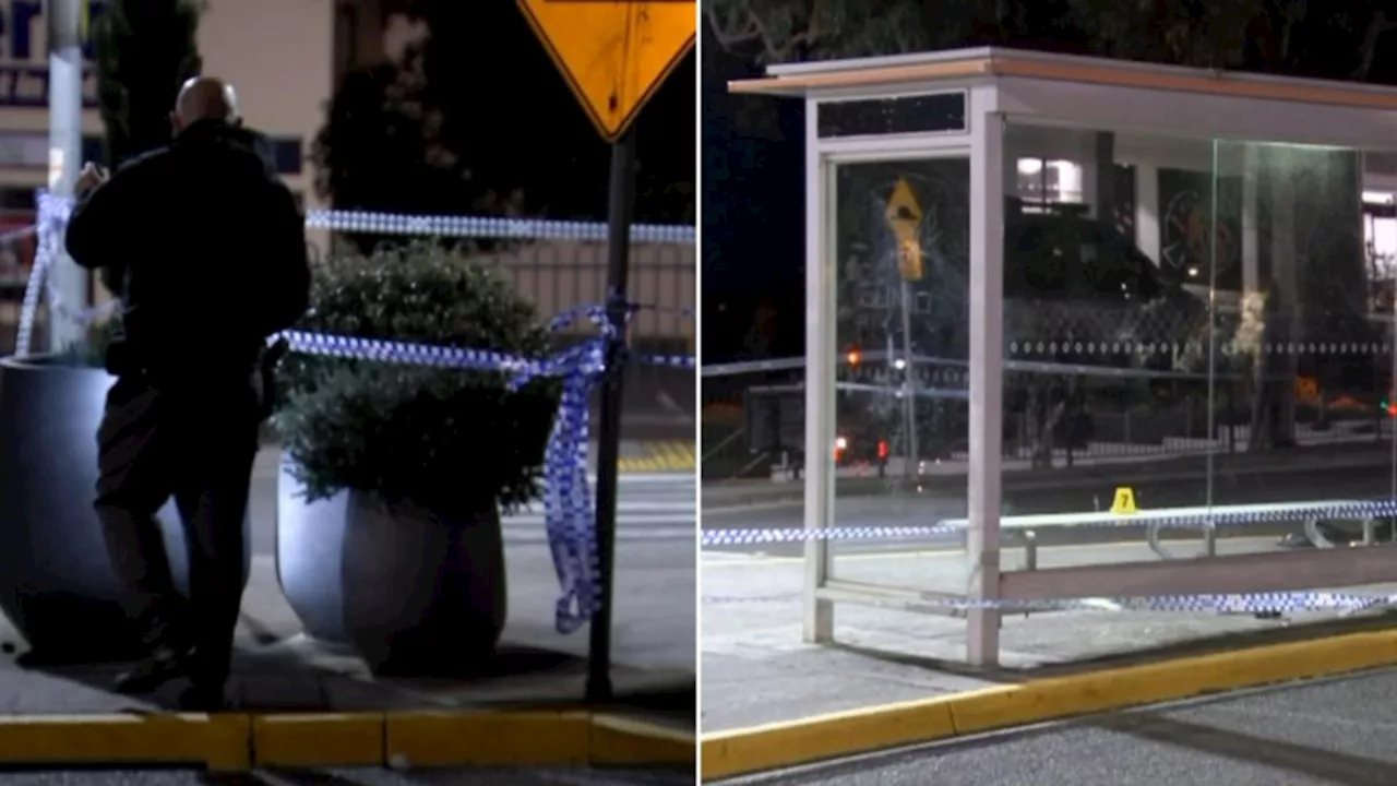 Heroic bus driver intervenes as teen attacked by two men at Melbourne bus stop