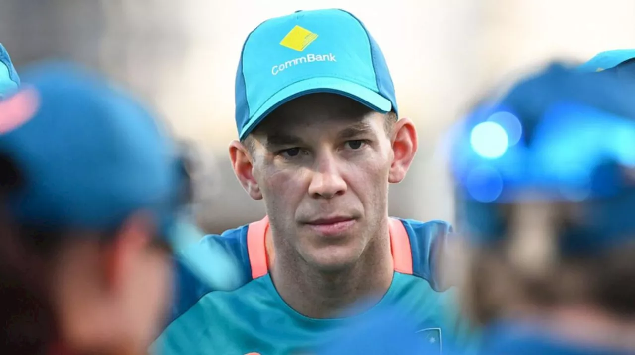 Tim Paine lands head coaching job with Australian cricket team Adelaide Strikes