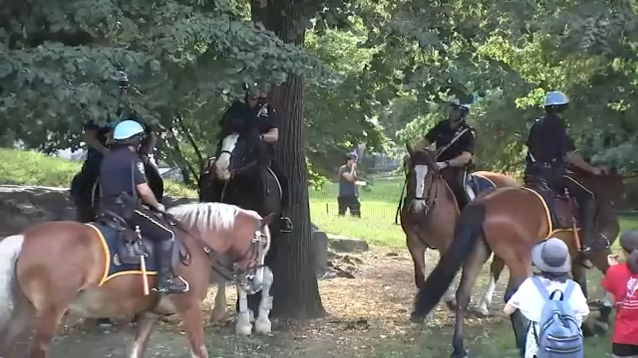 NYPD increases patrols in Central Park amid spike in robberies, crime