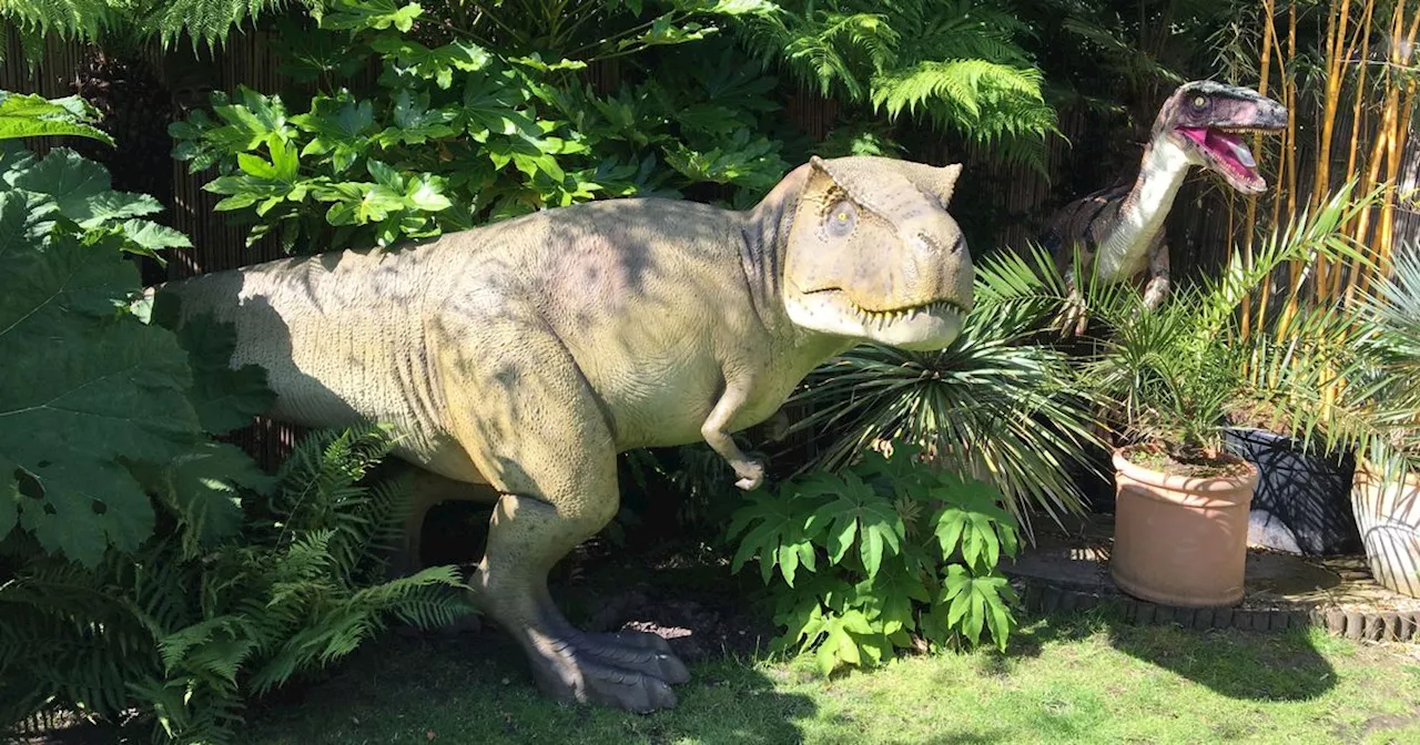 Dinosaur fan blows £27K on a Jurassic Park - in his own garden