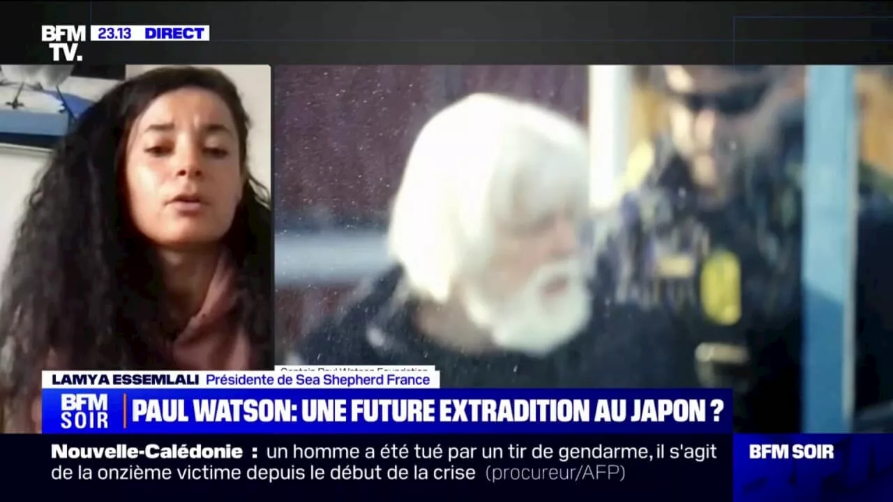 Lamya Essemlali (présidente de Sea Shepherd France): 'Le Japon n'est pas dans une démarche de justice, mais dans une démarche de vengeance vis-à-vis de Paul Watson'