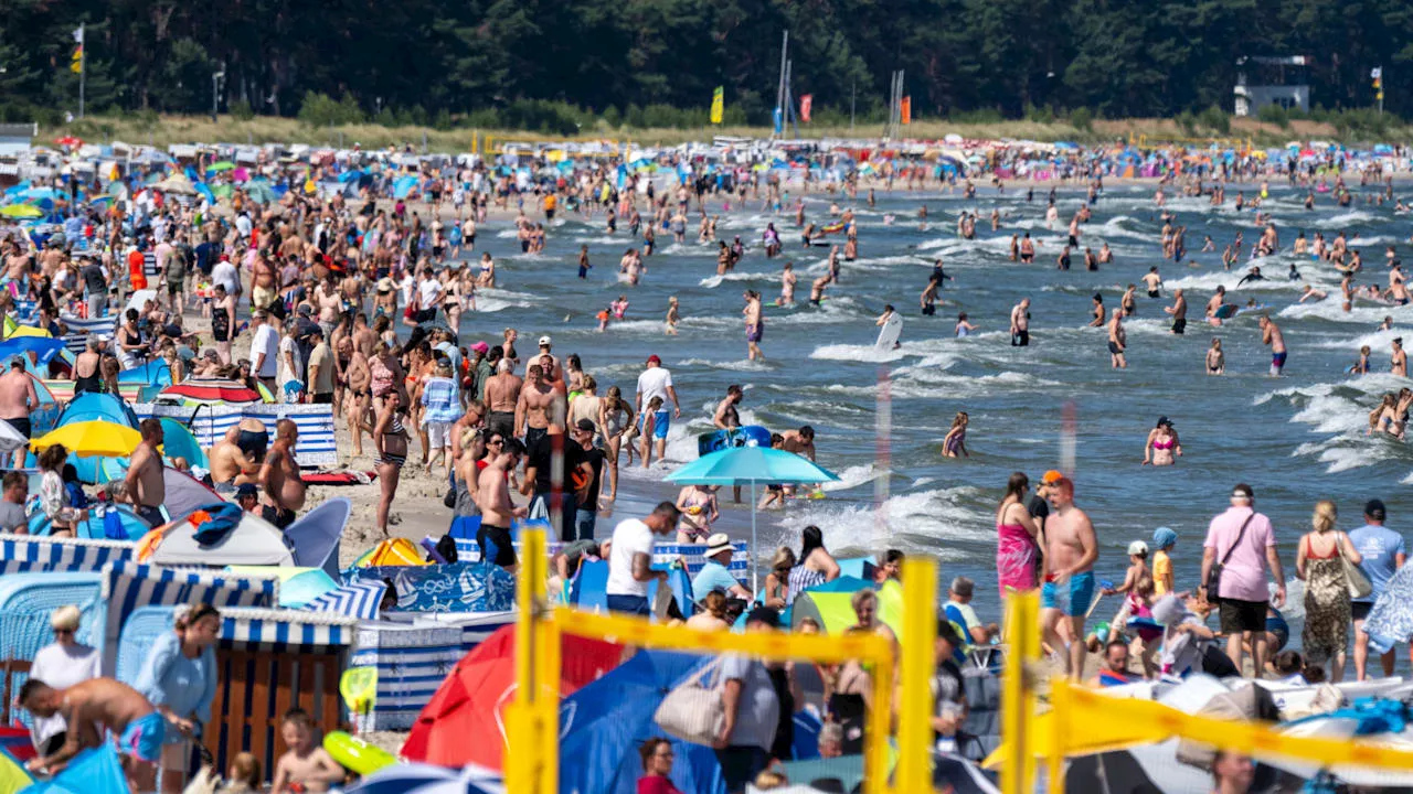 Alarmierende Studie: Jetzt auch Hitze-Stau in der Ostsee!