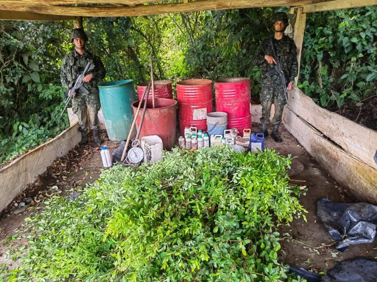 Desmantelan trece laboratorios de coca del Clan del Golfo en Antioquia y Córdoba