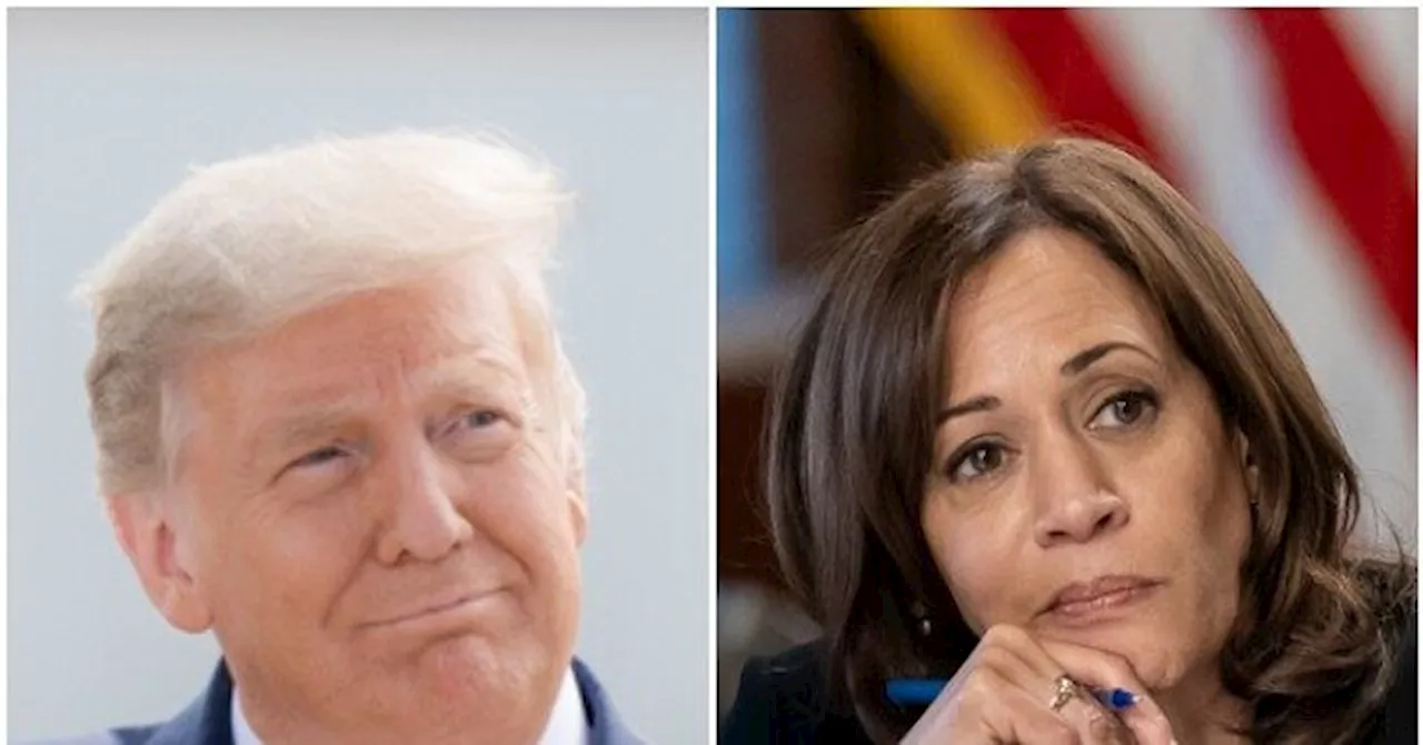 AARP Poll: Donald Trump Leads Kamala Harris in Michigan