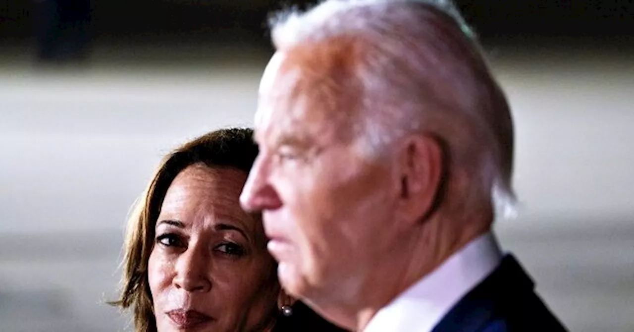 Exclusive: Senators Say Bureaucrats May Be Targeting Trump-Appointed Investigator for Exposing Biden-Harris Border Policies