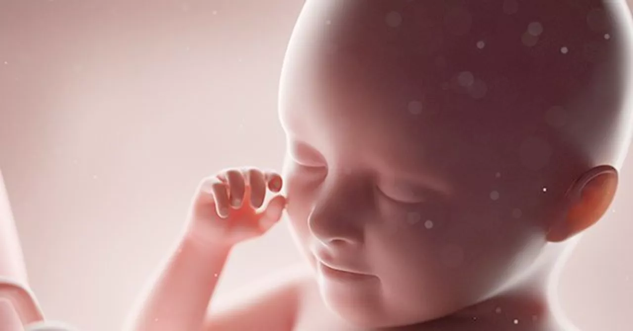 Mark Kelly: Voters Will ‘See Through’ Attempts to Say Unborn Are People