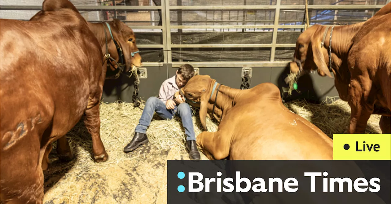 Brisbane news live: Ekka parade rained out; Qld’s Olympians to keep going