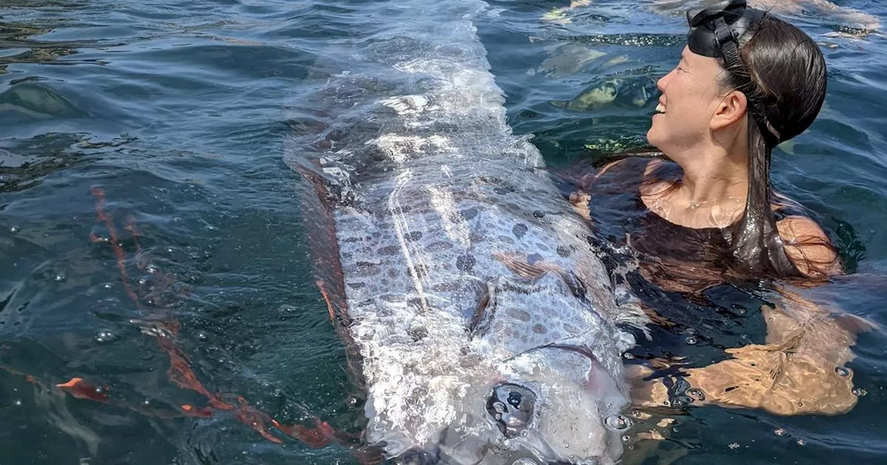 Extremely rare 'doomsday fish' found off Southern California coast