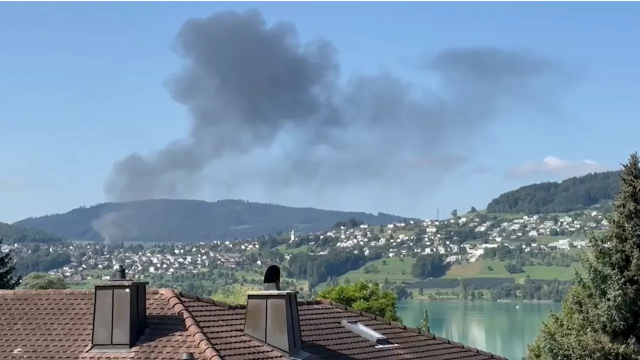 Rauchsäule über dem Hallwilersee: Brand bei Gärtnerei