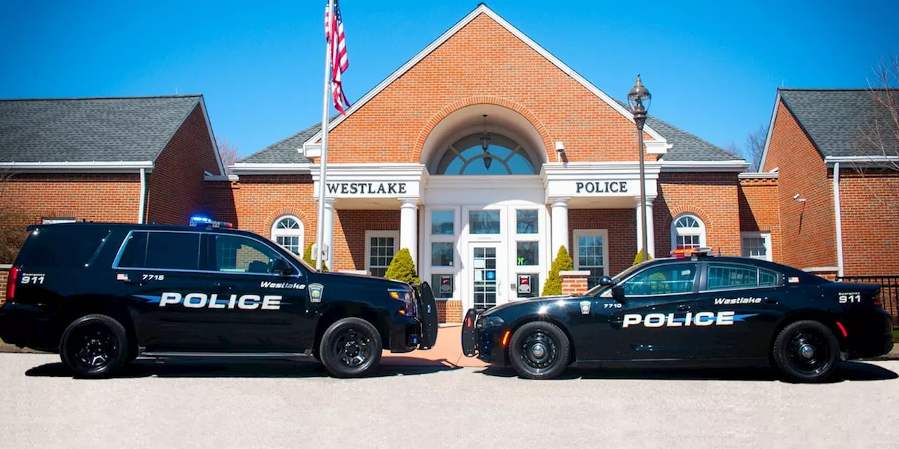 Blood drops help Westlake Police arrest former aggravated robbery convict in home burglary