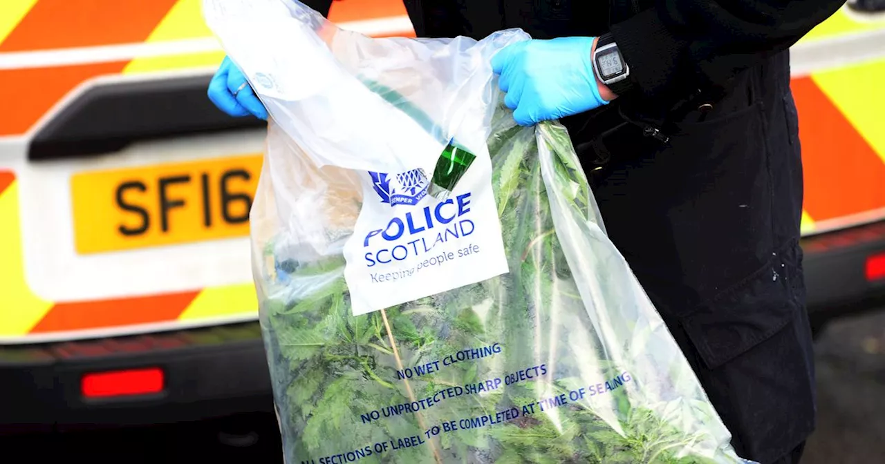 Cops uncover £3500 worth of cannabis in raid on East Kilbride home